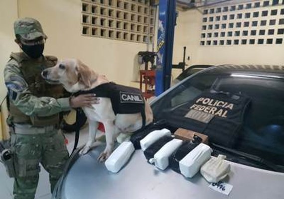 BPE  e Canil do BOPE apreendem arma de fogo e pasta base de cocaína