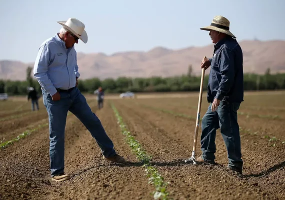 Cooperativas lideram nova fase do financiamento do agro no Brasil