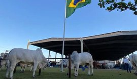 Parque da Pecuária inicia recepção dos animais para a 75ª Expoagro Alagoas nesta segunda (20)