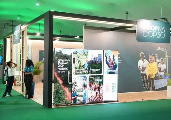 Cinco conquistas do Ano Internacional das Cooperativas