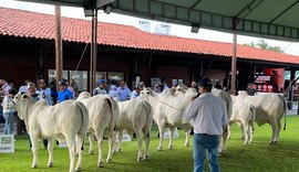 Expoalagoas Genética alcança faturamento de R$ 4 milhões, informa ACA