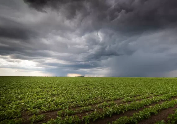 Desafios econômicos do El Niño: agricultores sob pressão