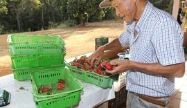 Finep destina R$ 220 milhões para impulsionar inovações na agricultura familiar