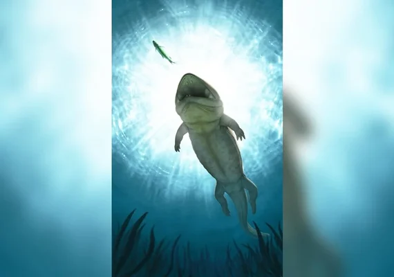 Cientistas encontram fóssil de ''trepador de areia'' na Austrália