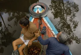 Natura cria startup para comercializar bioingredientes da Amazônia