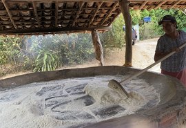 Tradição da farinha de mandioca em São José da Laje fortalece cultura e economia local