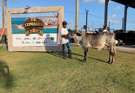 Exposições regionais do gado leiteiro têm início na 72ª Expoagro Alagoas