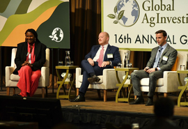 Mapa apresenta Programa de Conversão de Pastagens para investidores nos Estados Unidos