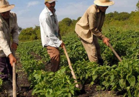 Balanço Social: Tecnologias sustentáveis evoluem em Sergipe e Alagoas