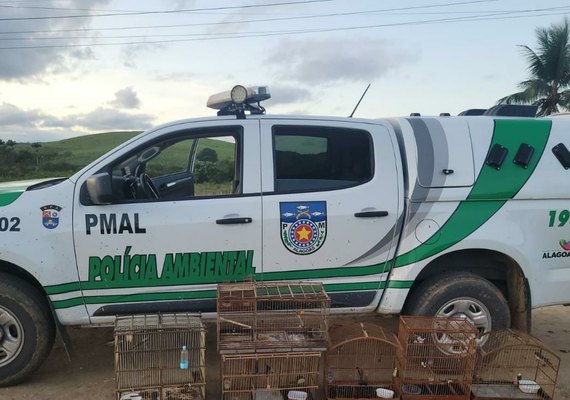 Polícia Ambiental realiza diversas apreensões na Região Norte de Alagoas