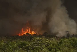 Incêndios podem ter afetado mais de 11 milhões de pessoas no Brasil