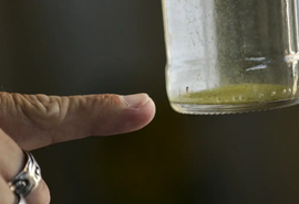 Sem óbitos e com registros de 357 casos, Governo diz que dengue está controlada em Alagoas