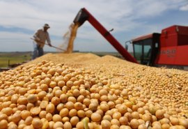 Segundo IBGE, safra de grãos deve fechar ano com alta de 4,2%