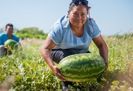 Cooperativas agro estão transformando o setor e impulsionando a produtividade