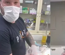 Falso veterinário é preso durante cirurgia em gato no Rio