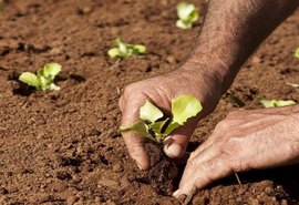 Portaria regulamenta Cadastro Nacional da Agricultura Familiar (CAF)