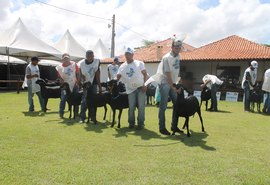 8ª Expoalagoas Genética terá programação recheada