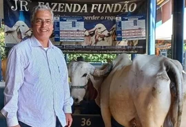 Vaca brasileira bate recorde mundial com produção média diária de leite  de 80,1 quilos