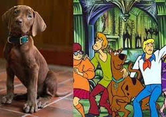 Netflix divulga primeira versão realista de Scooby-Doo em série live-action