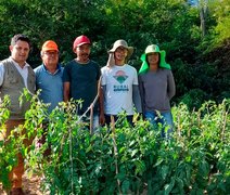 Instituto Irmã Dorothy abre seleção para técnicos em projeto; confira