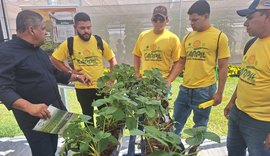 Rota da fruticultura mobiliza cooperativas da agricultura familiar