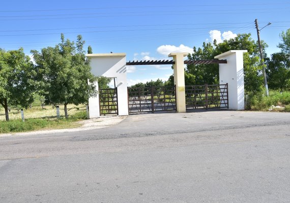 Feira da Agricultura Familiar é atração na 37ª Expo Bacia Leiteira