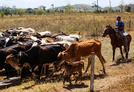 PL destina R$ 524 milhões ao Proagro, mas risco de falta de recursos continua