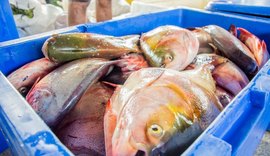 Procon-AL revela variação de preços dos produtos na Semana Santa