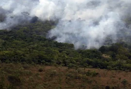 Copernicus: emissão global de gases por incêndios é a menor em 24 anos