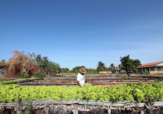 Desenrola Rural pode beneficiar mais de 360 mil agricultores atendidos pelo Banco do Nordeste