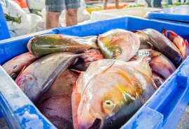 Procon-AL revela variação de preços dos produtos na Semana Santa