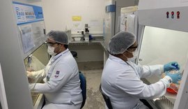 Pesquisadores da Ufal investigam antiviral contra o vírus Chikungunya
