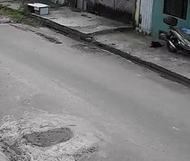 Polícia investiga suspeita de envenenamento de cães no Tabuleiro em Maceió