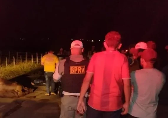 Duas pessoas morrem após colisão entre motocicleta e animal solto na AL-487