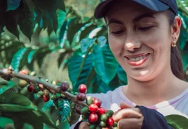 Cafeicultores de cooperativa mineira são os primeiros do mundo a receber selo de baixo carbono