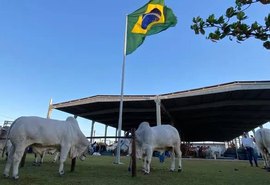 Parque da Pecuária inicia recepção dos animais para a 75ª Expoagro Alagoas nesta segunda (20)