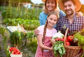 Agricultura familiar: base da segurança alimentar