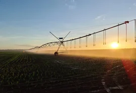 Cooperativismo ganha força após a restruturação do Ministério da Agriculturae