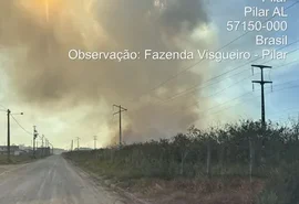 Queimadas criminosas avançam e desafiam ações de prevenção em Alagoas