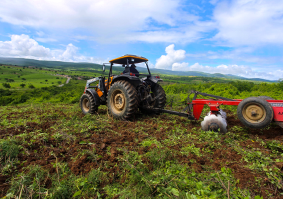 Prefeitura de Traipu concede auxílio emergencial a agricultores e produtores