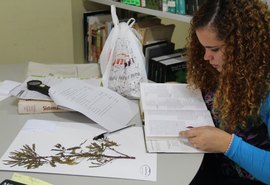 Herbário do IMA/AL oferece minicurso gratuito para estudantes