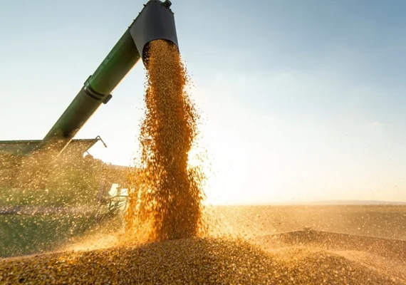 Derretimento das geleiras afeta diretamente o agro