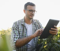 Embrapa desenvolve tecnologia para prever produtividade agrícola com uso de imagens de satélite