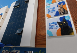Hospital veterinário público começa a funcionar em Maceió