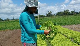 Estudo apoiado pelo Governo de Alagoas visa reduzir a dependência de importações agrícolas