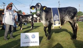 71ª Expoagro/AL vai sediar eventos regionais da raça Girolando