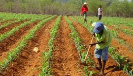 Fecoep vai aprovar recursos para o programa de sementes