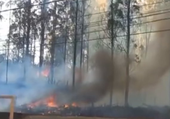 Avião cai em Piracicaba e tripulação não sobrevive
