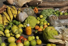 Governo Federal destina mais R$ 250 milhões para Programa de Aquisição de Alimentos