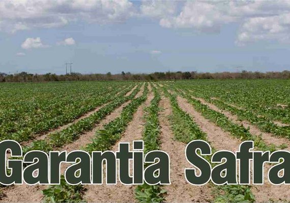 Garantia-Safra já injetou R$ 8,3 milhões em Alagoas este ano